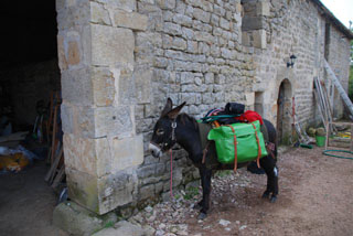 l'&acirc;ne b&acirc;t&eacute;