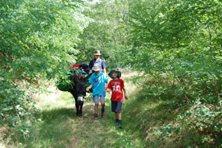 Une for&ecirc;t bienfaisante
