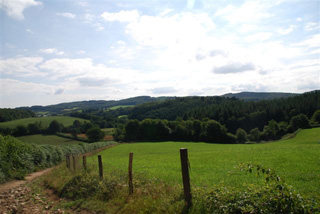Les monts du Morvan