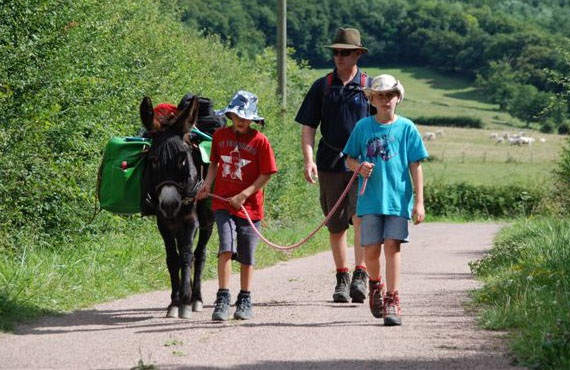 ane de bat bourgogne