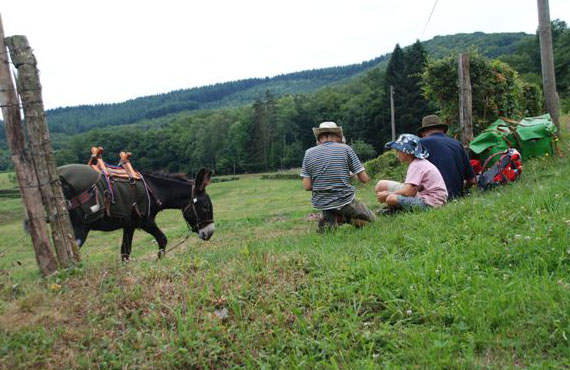 location anes de bat